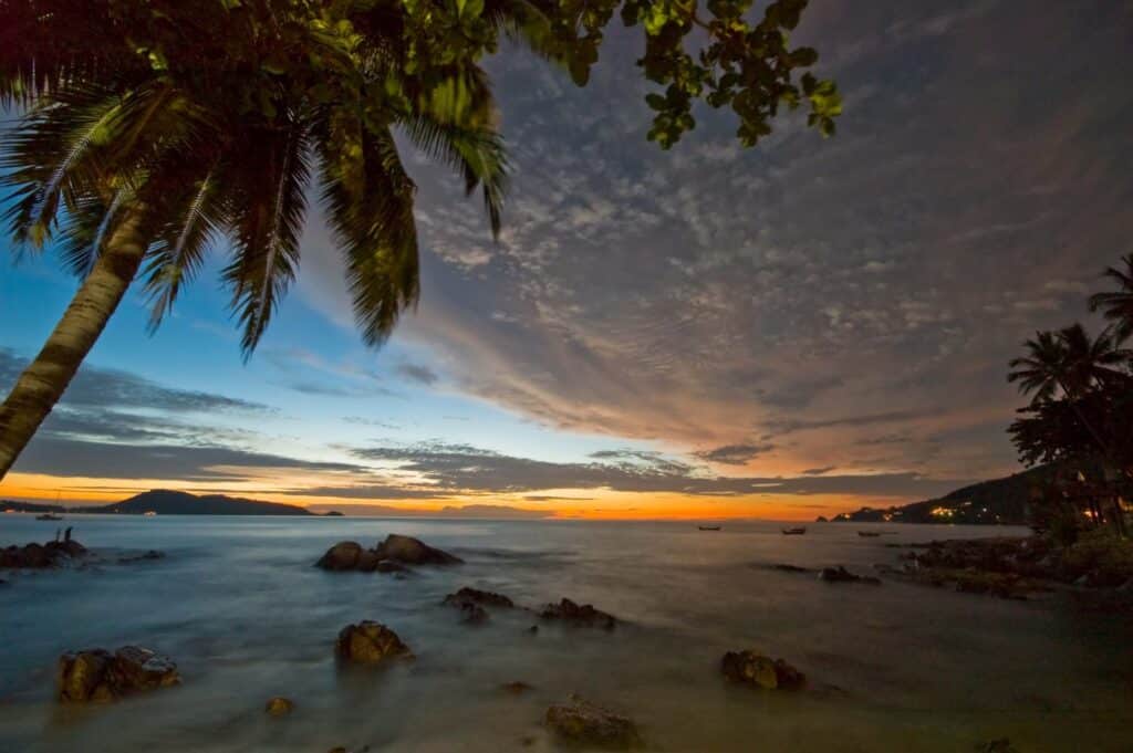 Guide to Exploring Phuket - Palm Tree at Dawn Patong beach